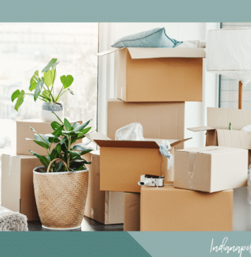 Adjusting to the New: Loving Where I Live