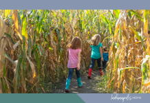 corn mazes and haunted fun Indianapolis
