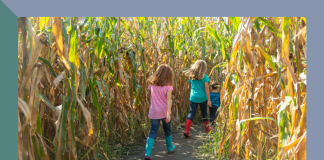 corn mazes and haunted fun Indianapolis