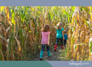 corn mazes and haunted fun Indianapolis