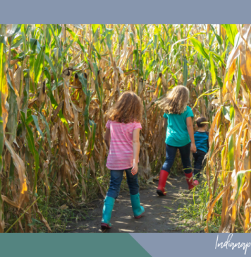 corn mazes and haunted fun Indianapolis