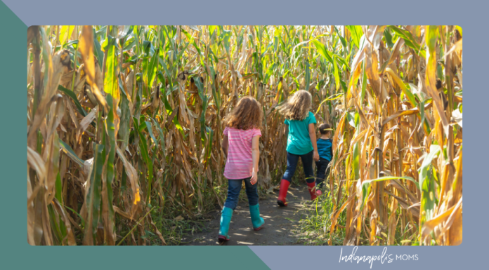 corn mazes and haunted fun Indianapolis