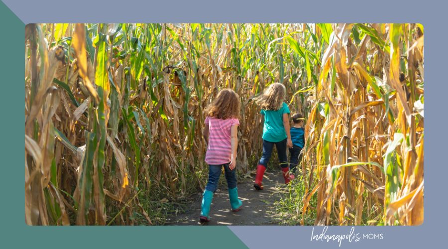 corn mazes and haunted fun Indianapolis