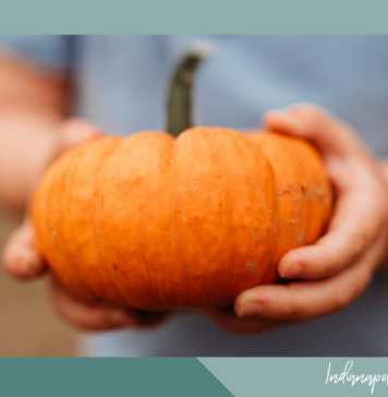 Indianapolis Moms Guide to October Family Events October family events Indianapolis