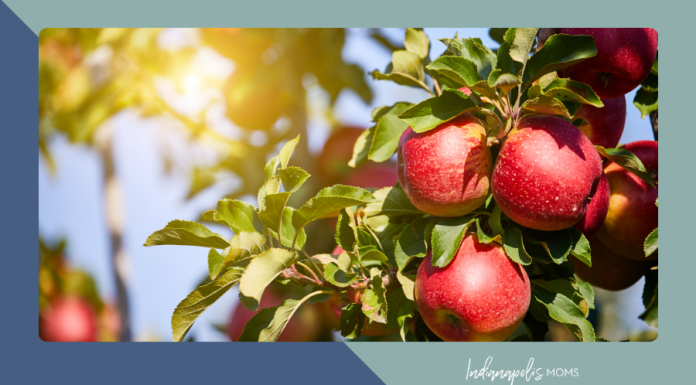 apple orchards Indianapolis area
