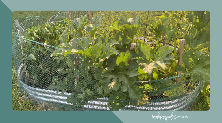 My Garden Tells the Story of my Summer