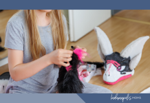 My Child is a Furry furry