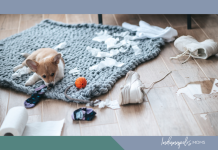 No One Warned Me About the Puppy Blues puppy