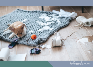 No One Warned Me About the Puppy Blues puppy