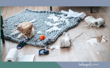 No One Warned Me About the Puppy Blues puppy