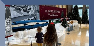 Experience Gifts that Matter: Our LS Ayers Tea Room Tradition