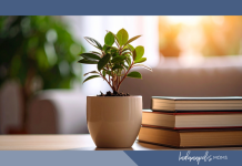 Five Simple Things I’m Doing to Beat the Winter Blues