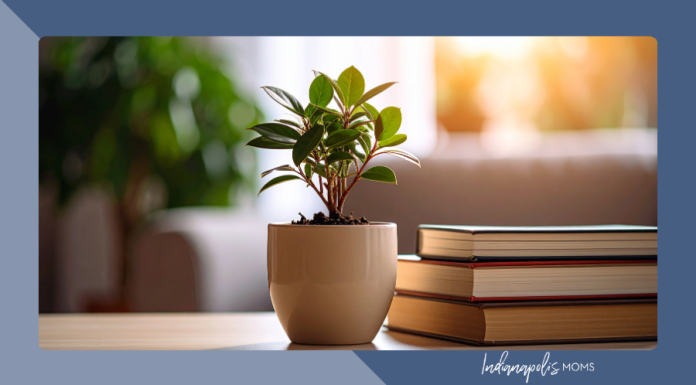 Five Simple Things I’m Doing to Beat the Winter Blues