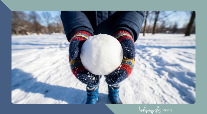 Your Agenda for the Next Snowy Day