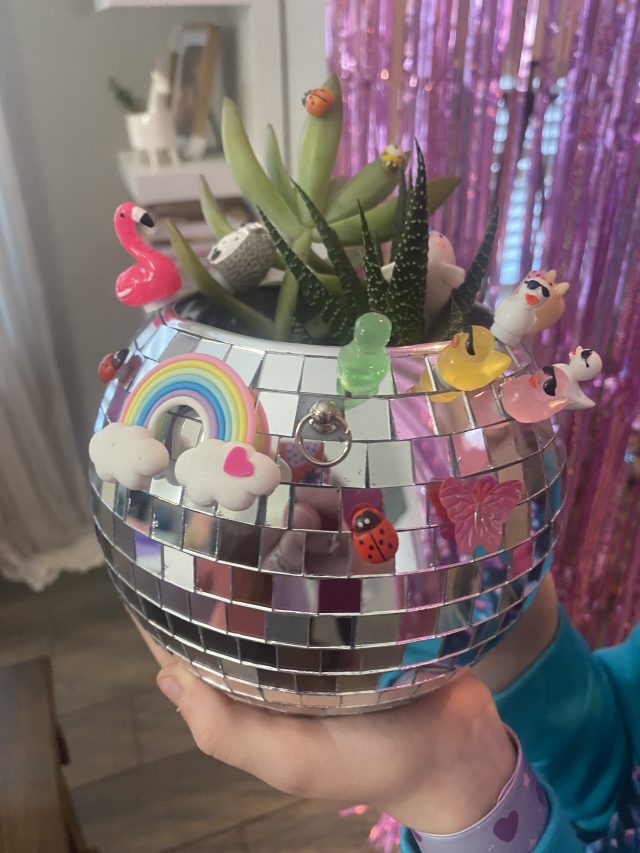 IMG_2678-640x853 IMG_2678-640x853