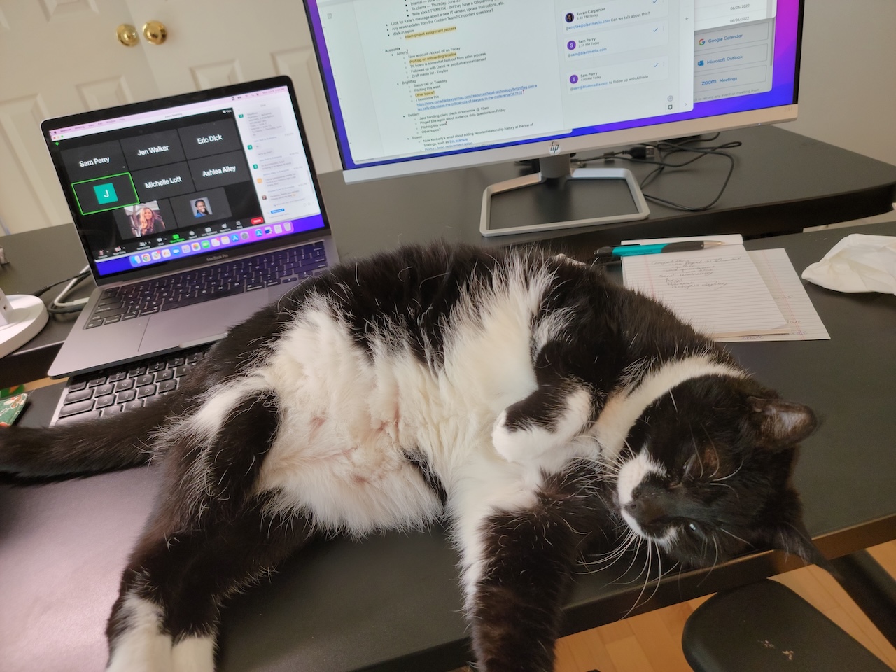 Tuxedo coat rolled over on the desk