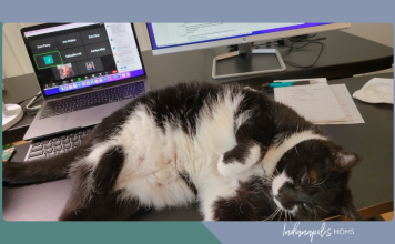 The Legend of Snow Boots the Office Cat