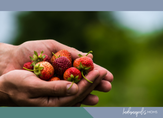 berry picking Indianapolis
