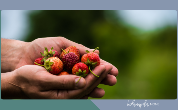 berry picking Indianapolis