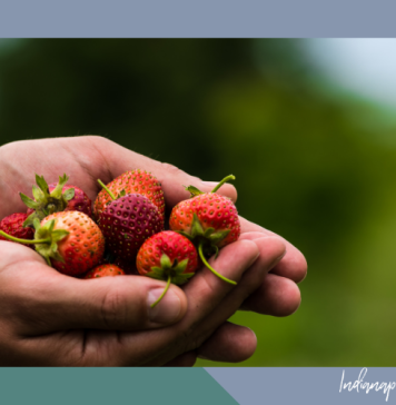 berry picking Indianapolis