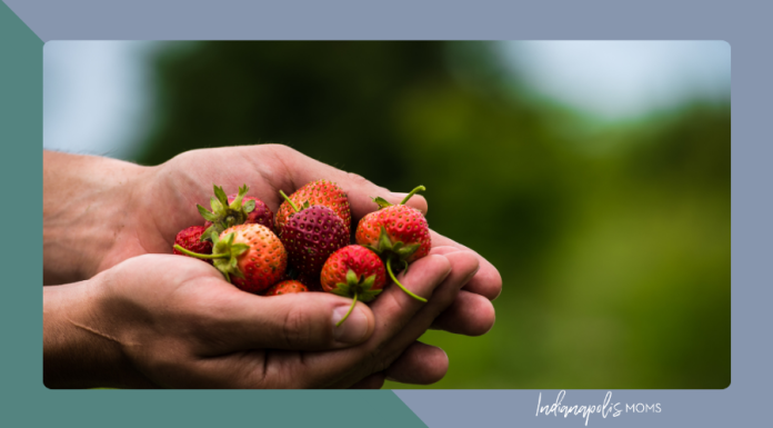berry picking Indianapolis