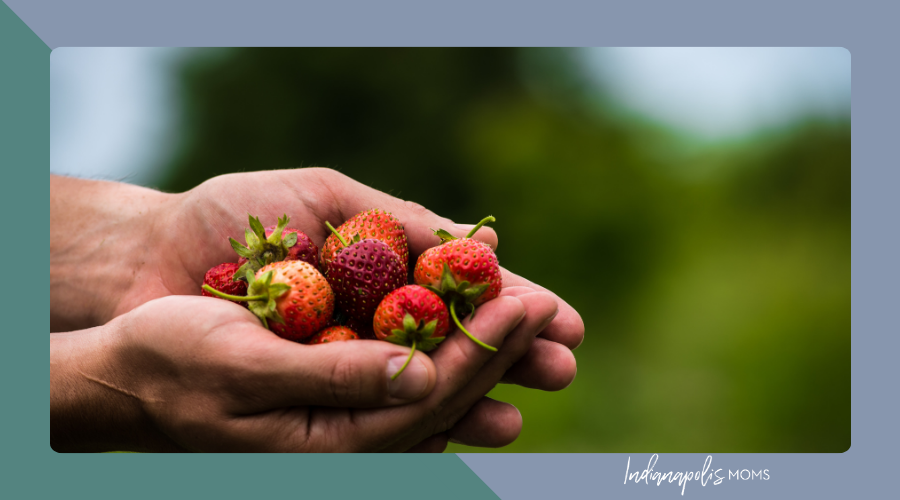 berry picking Indianapolis